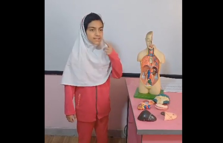زنگ علوم دانش آموزان خلاق پایه پنجم دبستان دخترانه پرتوعلوی شیراز