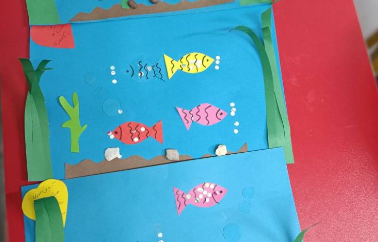 آبزیان (ساخت آکواریوم) 2