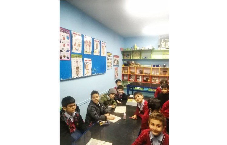 آب از کدام خاک