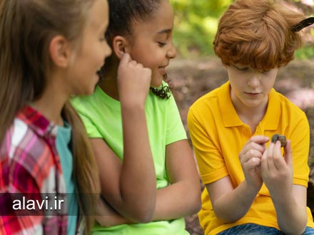 احترام به تفاوت‌ها