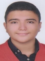 آرتین آریا پور