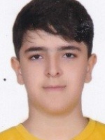 آرتین دانشور