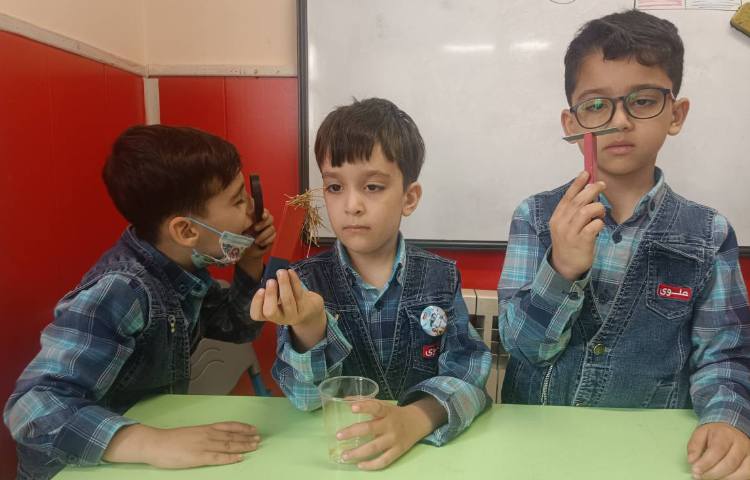 :آزمایشگاه، شناخت کاربرد آهنربا و ذربین 4