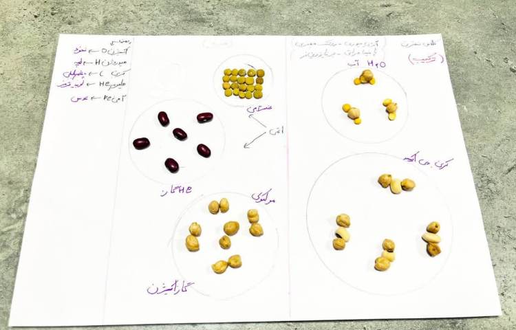 آزمایشگاه شیمی .ارزیابی بحث عنصرها و ترکیب به روش درست کردن کاردستی 2