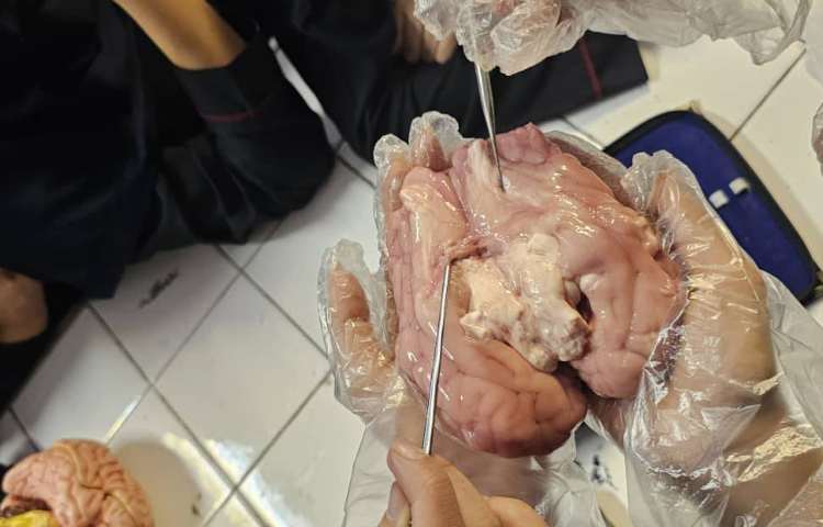 آزمایشگاه شیمی 2