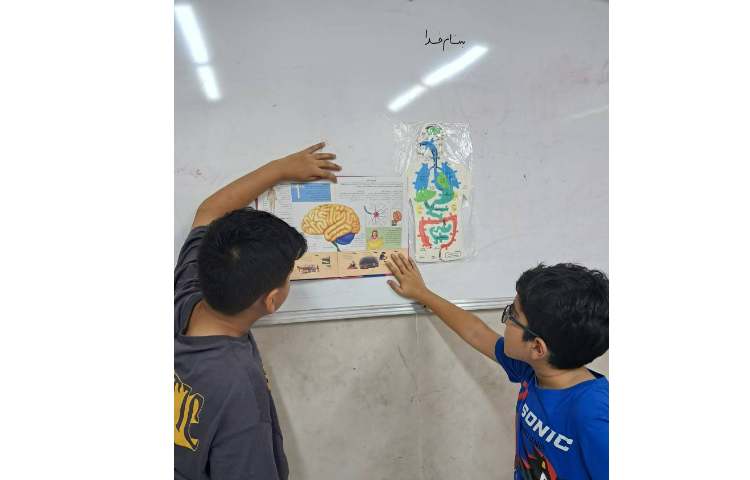 آزمایشگاه علوم آشنایی با بدن انسان 10