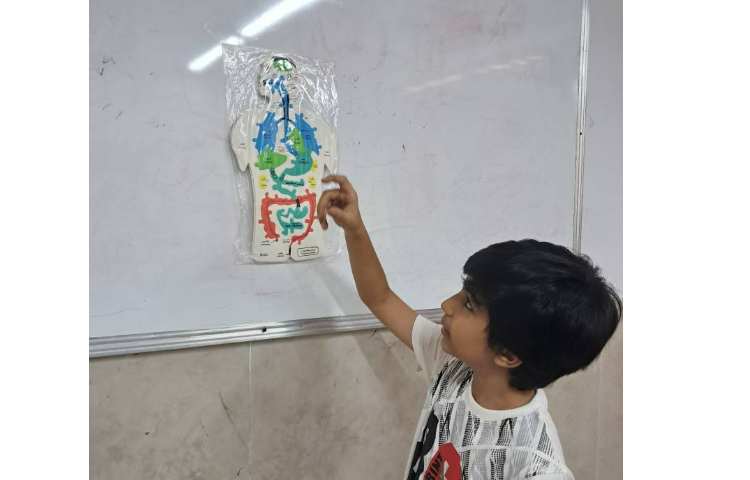 آزمایشگاه علوم آشنایی با بدن انسان 12