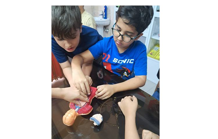 آزمایشگاه علوم آشنایی با بدن انسان 4