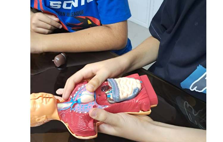 آزمایشگاه علوم آشنایی با بدن انسان 5