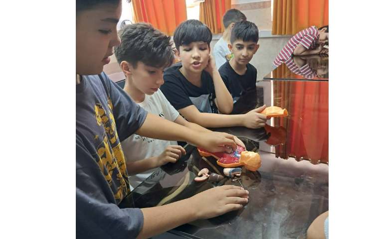 آزمایشگاه علوم آشنایی با بدن انسان 6
