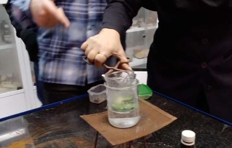 آزمایشگاه علوم با مبحث شناسایی کلروفیل و نشاسته در برگ پایه ششم دبستان 1