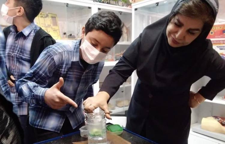 آزمایشگاه علوم با مبحث شناسایی کلروفیل و نشاسته در برگ پایه ششم دبستان