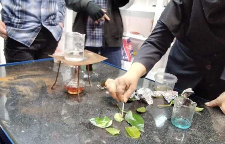 آزمایشگاه علوم با مبحث شناسایی کلروفیل و نشاسته در برگ پایه ششم دبستان 6