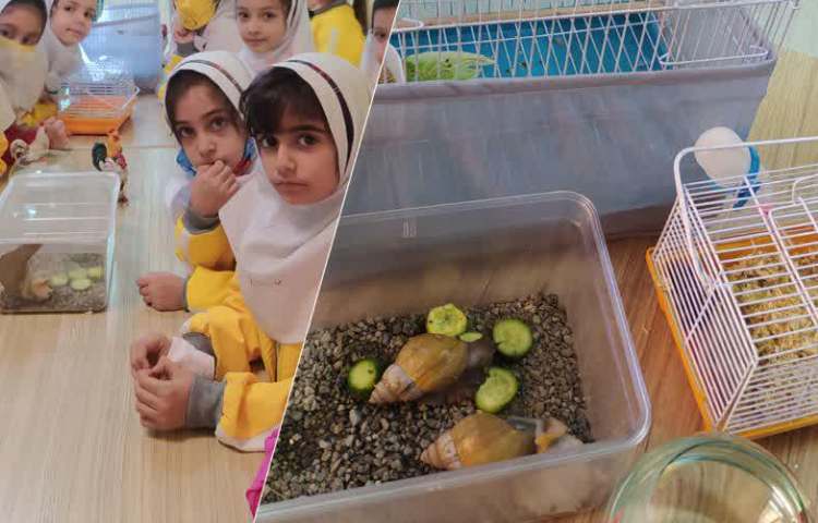 آزمایشگاه علوم تفاوت جانوران 1