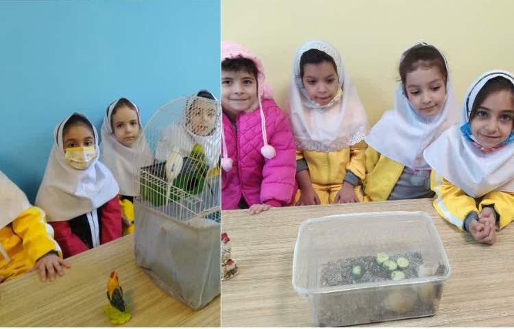 آزمایشگاه علوم تفاوت جانوران 2