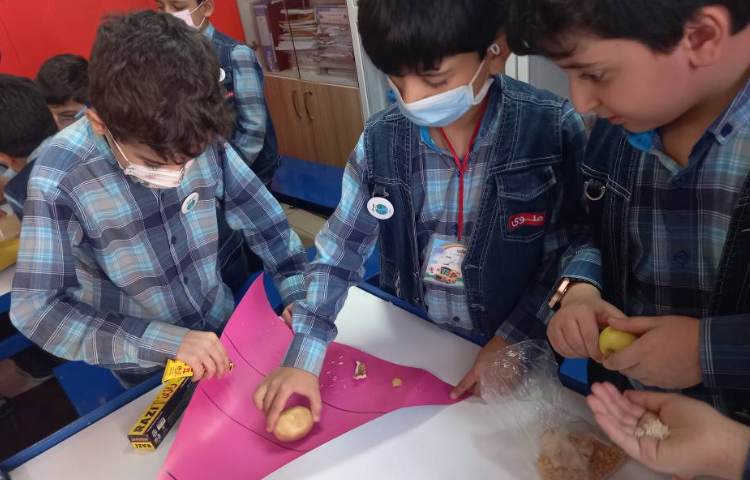 :آزمایشگاه علوم، ساخت هرم غذایی در گروه های چهارخانه، کلاس زمین 6