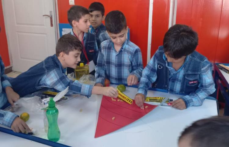 :آزمایشگاه علوم، ساخت هرم غذایی در گروه های چهارخانه، کلاس زمین 8