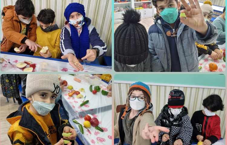 آزمایشگاه علوم پایه دوم، بررسی دانه ها و بیان تفاوت و شباهت آنها 1