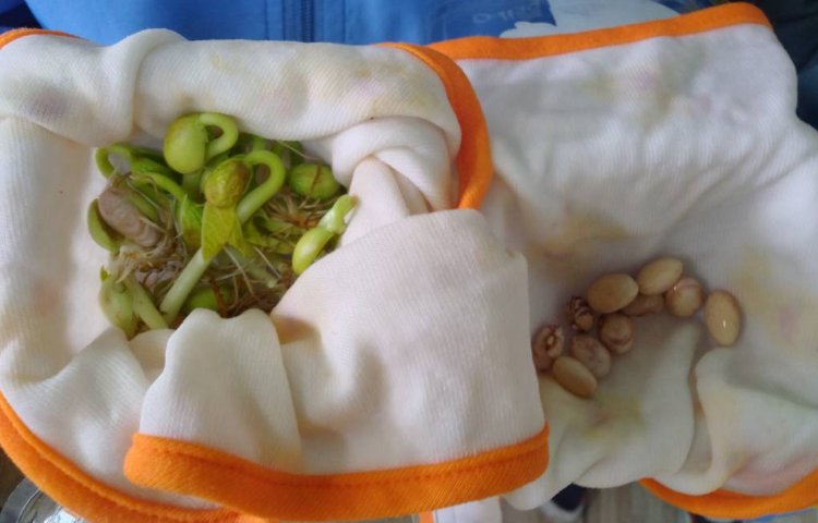 :آزمایشگاه علوم، کلاس فضانوردان 3