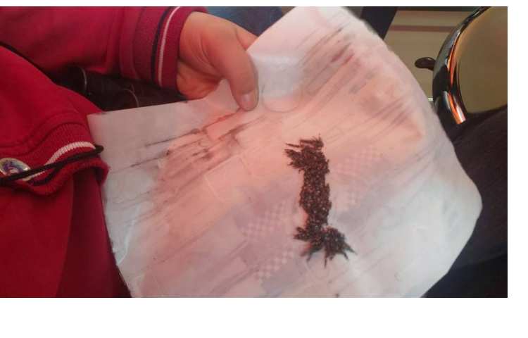 آزمایشگاه علوم 7