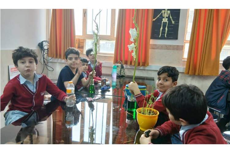 آزمایشگاه 2