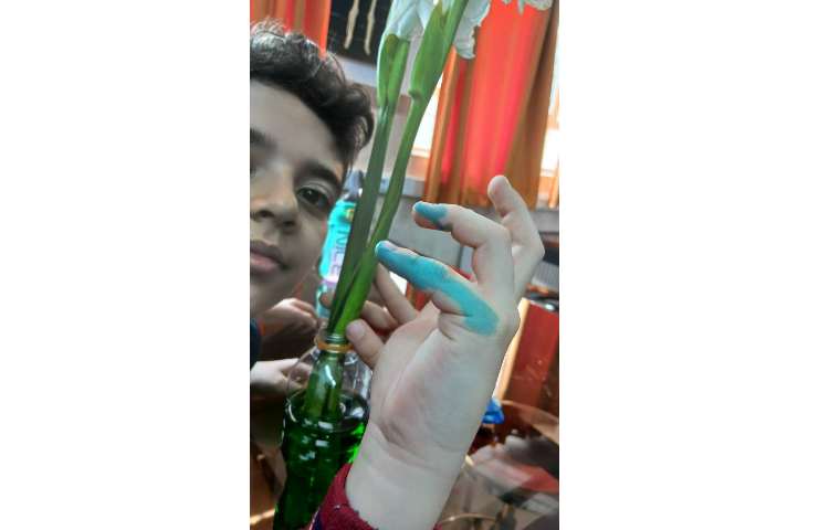 آزمایشگاه 4