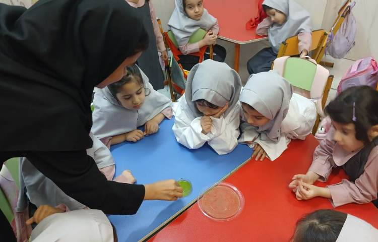 آزمایشگاه 5