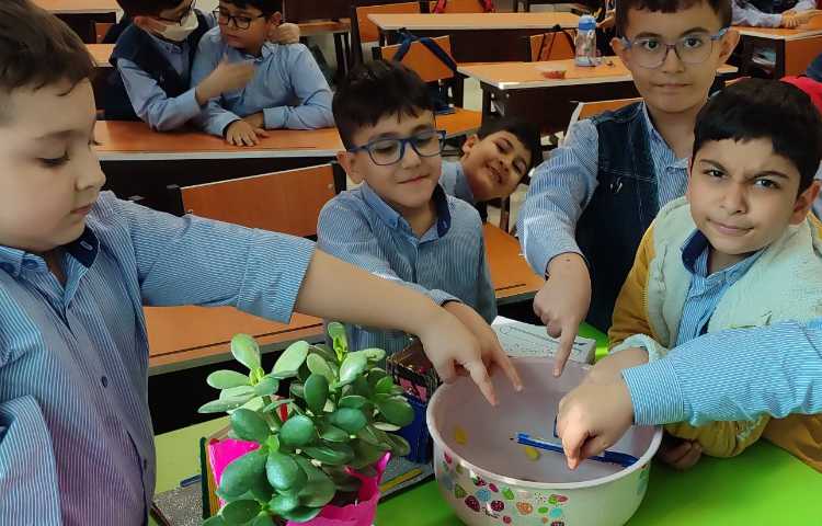 آزمایش اجسام سنگین و سبک رو سطح آب درس علوم 3