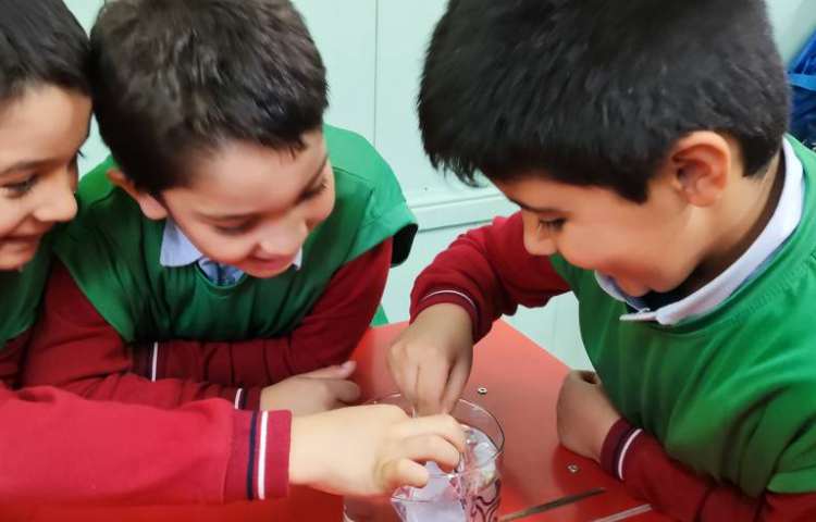 آزمایش اسرار آب 3