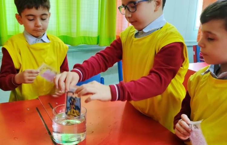 آزمایش اسرار آب 4