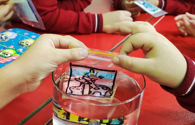 آزمایش اسرار آب 5