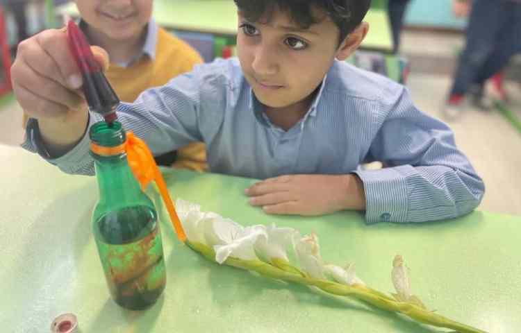 آزمایش بررسی عملکرد ساقه در گیاهان 1