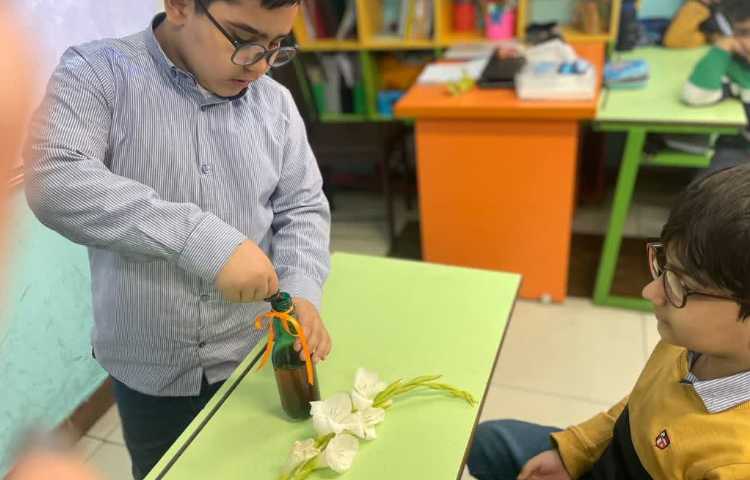 آزمایش بررسی عملکرد ساقه در گیاهان 2