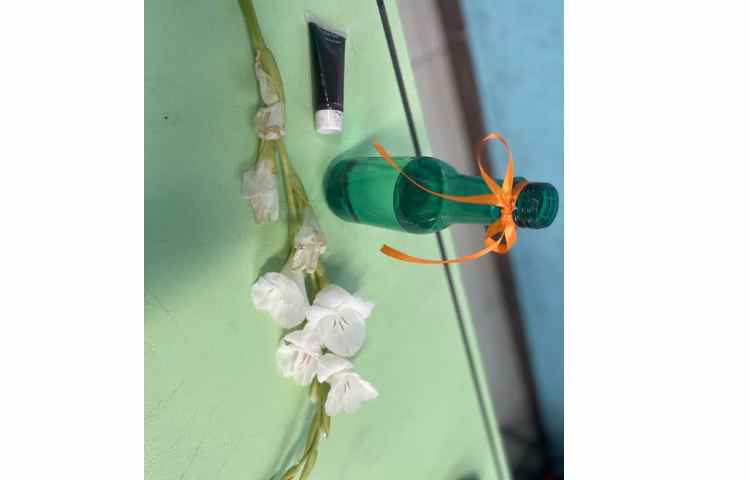 آزمایش بررسی عملکرد ساقه در گیاهان 3