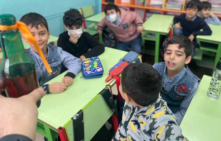 آزمایش بررسی عملکرد ساقه در گیاهان 4