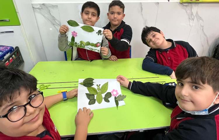 آزمایش برگ و خلاقیت 2