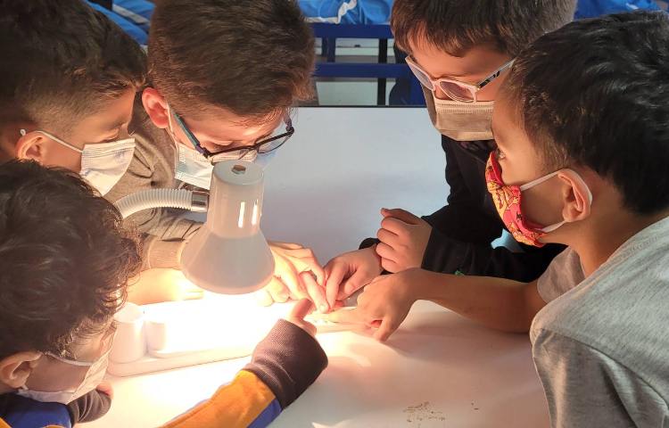 :آزمایش تاثیر تابش مستقیم و مایل نور خورشید، کلاس کوهنوردان 4