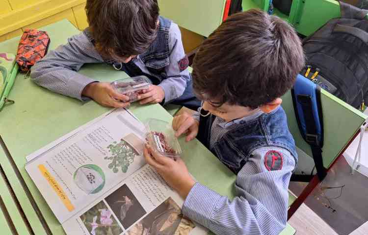 آزمایش تاثیر نور بر رشد گیاهان و نحوه کار با دماسنج ساخته شده 1