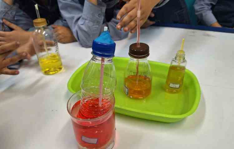 آزمایش تاثیر نور بر رشد گیاهان و نحوه کار با دماسنج ساخته شده 3