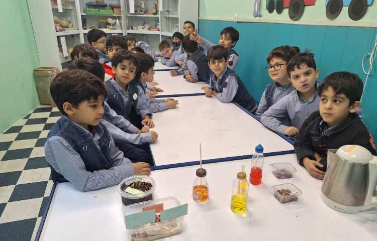 آزمایش تاثیر نور بر رشد گیاهان و نحوه کار با دماسنج ساخته شده 4