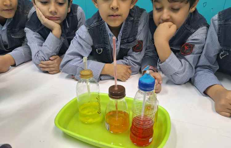 آزمایش تاثیر نور بر رشد گیاهان و نحوه کار با دماسنج ساخته شده 5