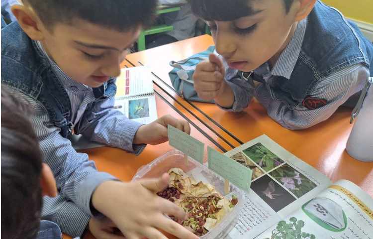 آزمایش تاثیر نور بر رشد گیاهان و نحوه کار با دماسنج ساخته شده