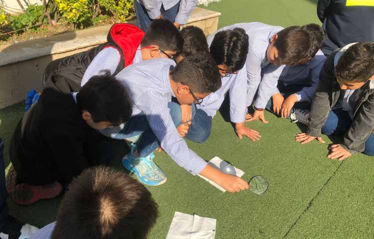 آزمایش تشخیص کانون عدسی 3