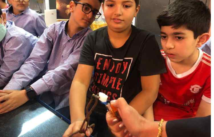 آزمایش تغییر شیمیایی و فیزیکی 2