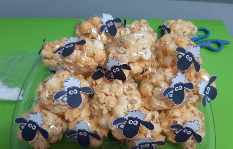 آزمایش جالب ذرت رقصان با گل پسرانم 1