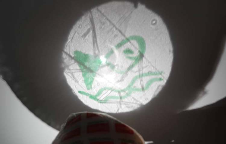 آزمایش جذاب تشکیل سایه ها با نقاشی پسرانم 6