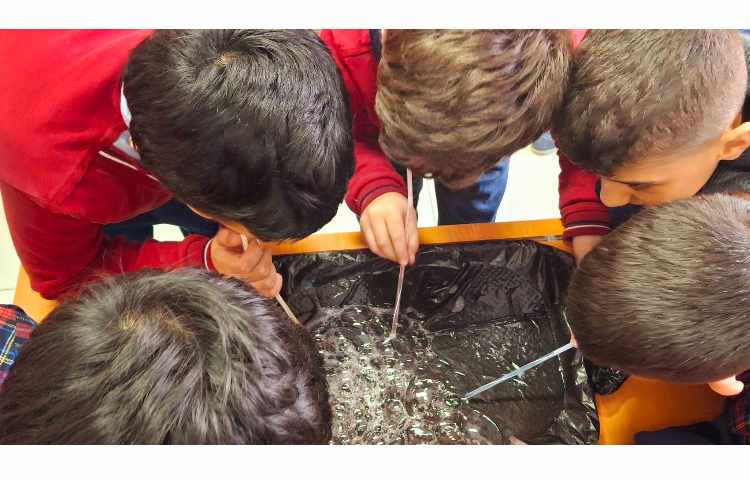 آزمایش درس دهم علوم(بدن ما (2)) 1