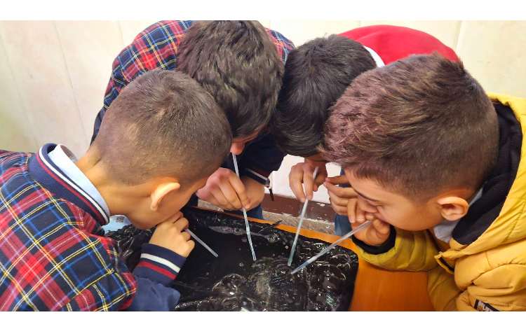 آزمایش درس دهم علوم(بدن ما (2)) 5