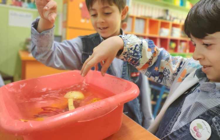 آزمایش روی آب ،زیر آب 2