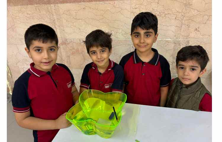 آزمایش روی آب زیر آب 5